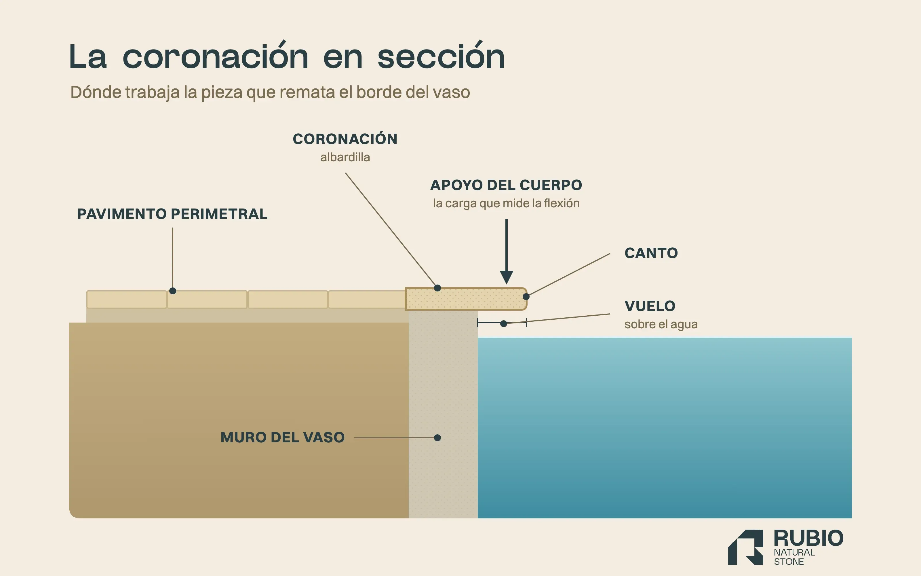 Sección de una coronación de piscina en piedra natural: la pieza apoyada sobre el muro del vaso, con vuelo sobre el agua y el pavimento perimetral detrás