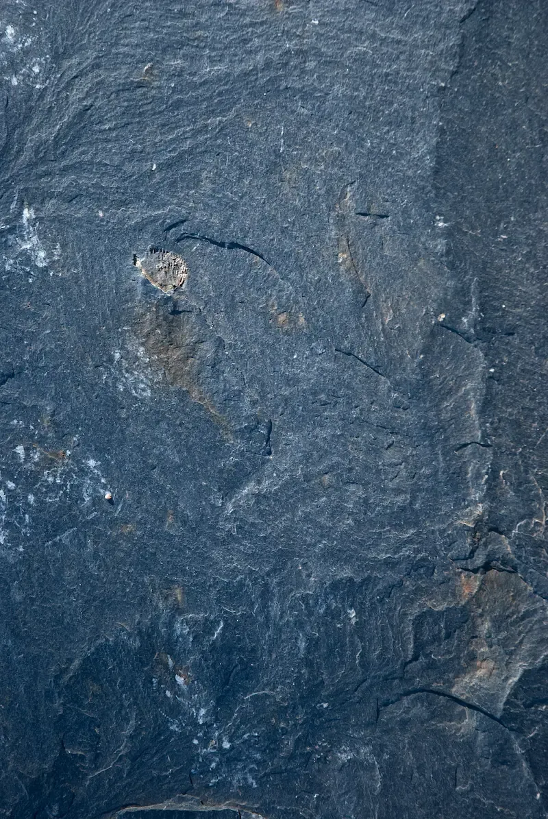 Pizarra