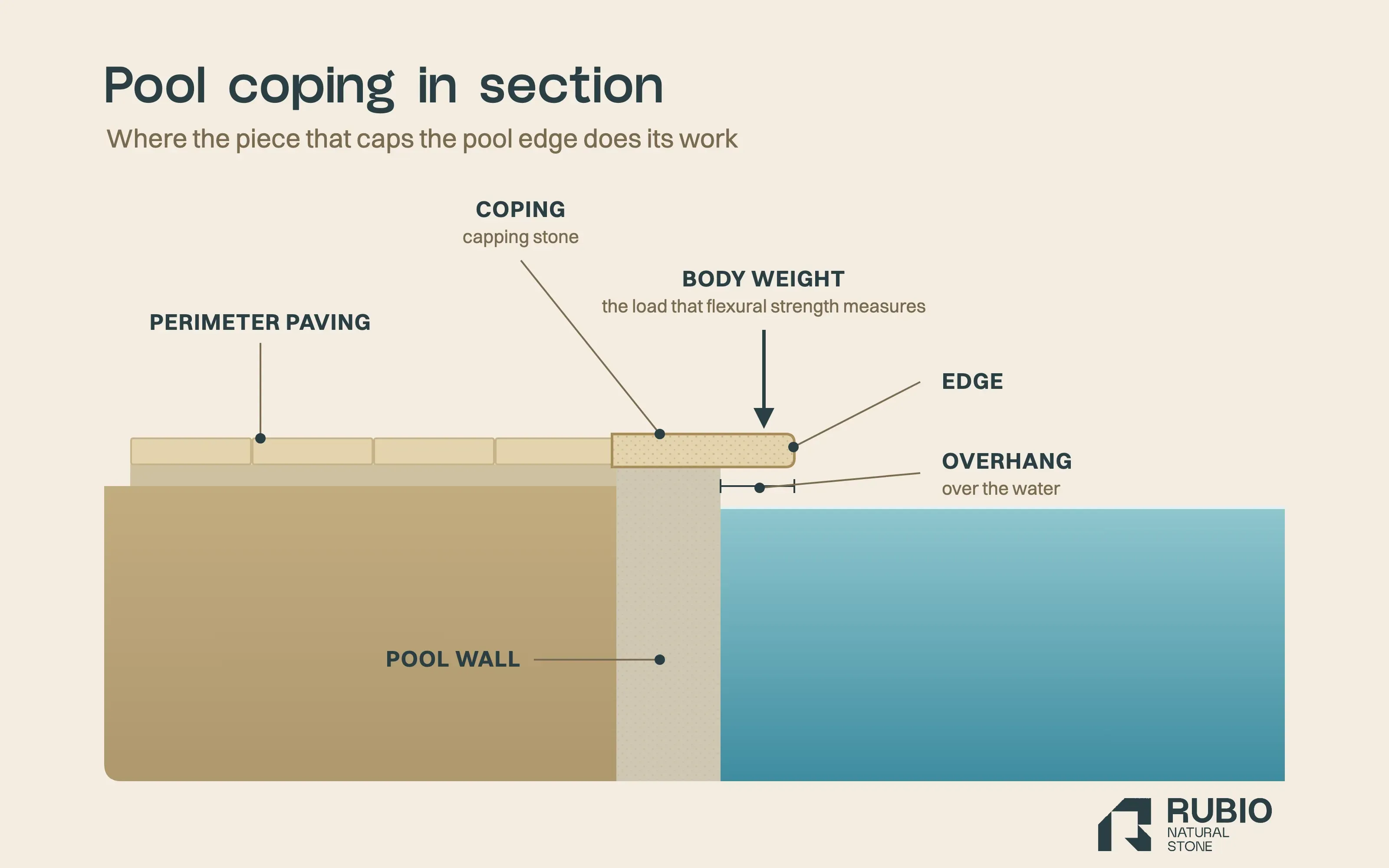 Section of natural stone pool coping: the piece bearing on the pool wall, overhanging the water, with the deck behind