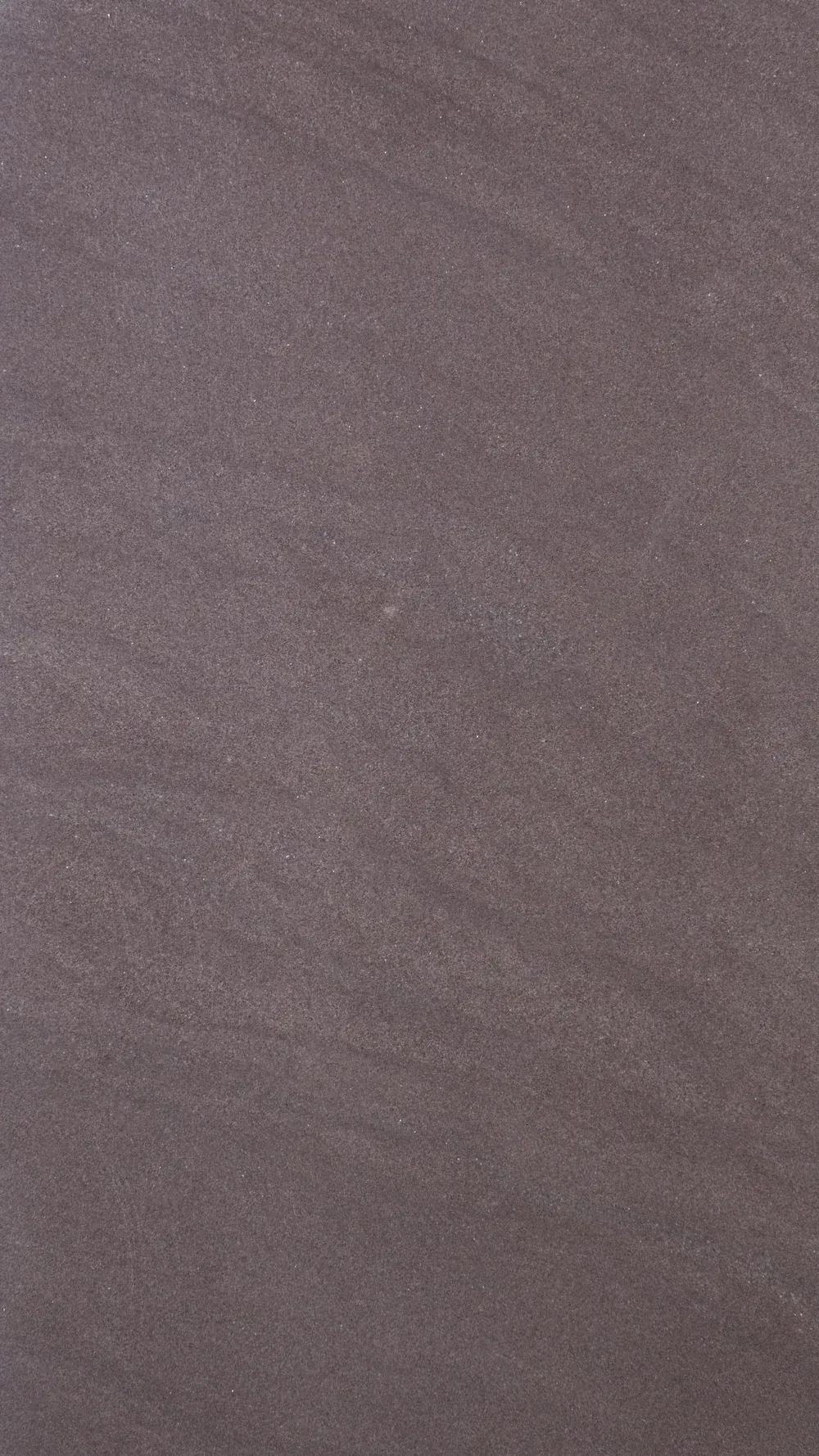 Violet - Imagen principal